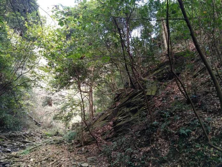 冒险岛2