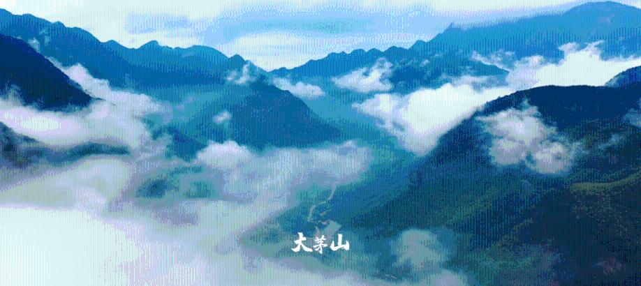 迷你西游